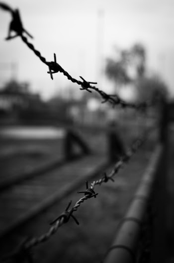 Shallow Focus Photography of Barbwires