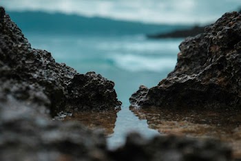 Shallow Focus Photography of Black Rocks