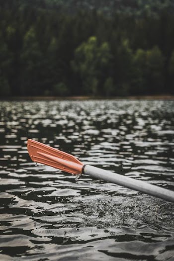 shallow focus photography of boat paddle