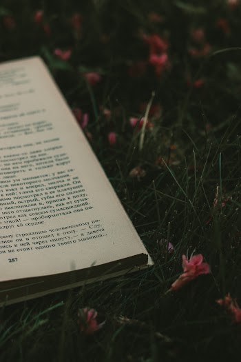 Shallow Focus Photography of Book on Grass