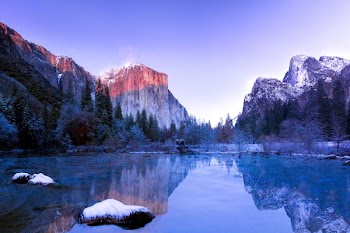 shallow focus photography of brown and white mountain