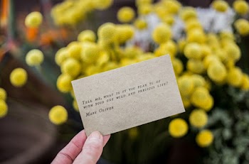 Shallow Focus Photography of Brown Card 