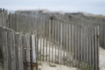 Shallow Focus Photography of Brown Wooden Fence