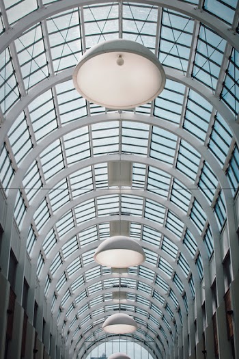 Shallow Focus Photography of Building Ceiling