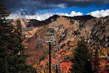 shallow focus photography of cable car