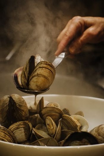 shallow focus photography of clams