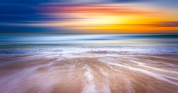 shallow focus photography of coast