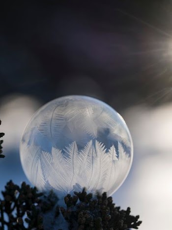 shallow focus photography of crystalized droplet