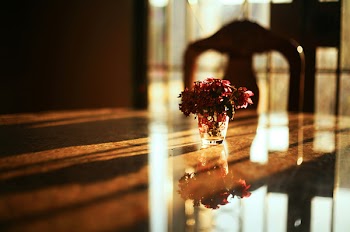 Shallow Focus Photography Of Flowers