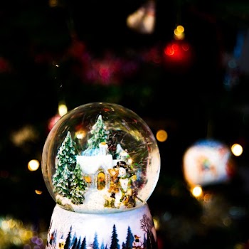 shallow focus photography of glass snow globe
