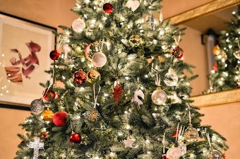 shallow focus photography of green Christmas tree