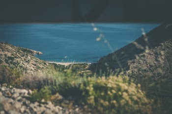 Shallow Focus Photography of Green Grass Field