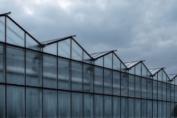 shallow focus photography of greenhouse