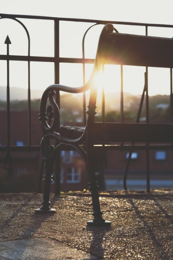 Shallow Focus Photography Of Iron Bench 