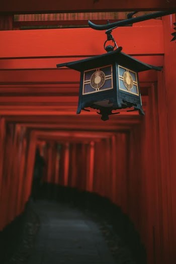 shallow focus photography of lantern