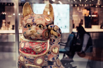 Shallow Focus Photography of Maneki-neko Figurine