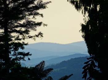 shallow focus photography of mountains