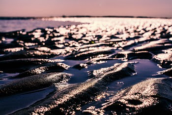 Shallow Focus Photography of Mud