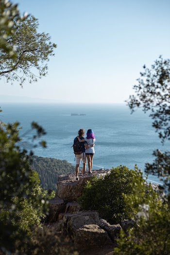 Shallow Focus Photography of People Standing On A Rock