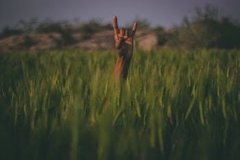 Shallow Focus Photography of Person Hand
