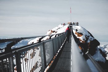 shallow focus photography of person walking