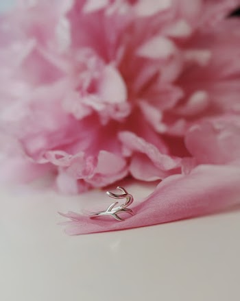 Shallow Focus Photography of Pink Flower