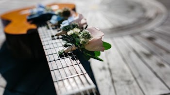 shallow focus photography of pink flower on guitar neck