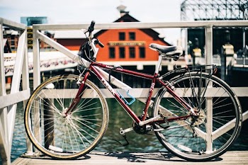 shallow focus photography of red mountain bicycle beside gray hand rail near body of water