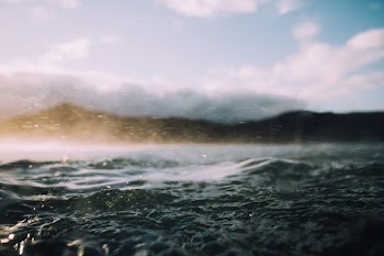 shallow focus photography of sea