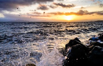 shallow focus photography of seashore with waves under orange sunset