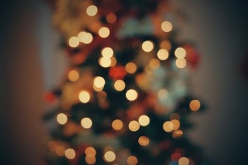 shallow focus photography of string lights