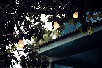Shallow Focus Photography of String Lights on Tree