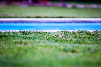 Shallow Focus Photography of Swimming Pool