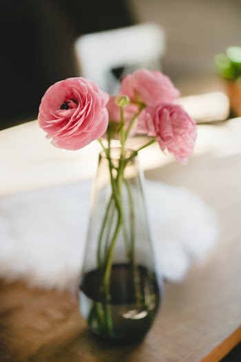 Shallow Focus Photography Of Three Pink Flowers