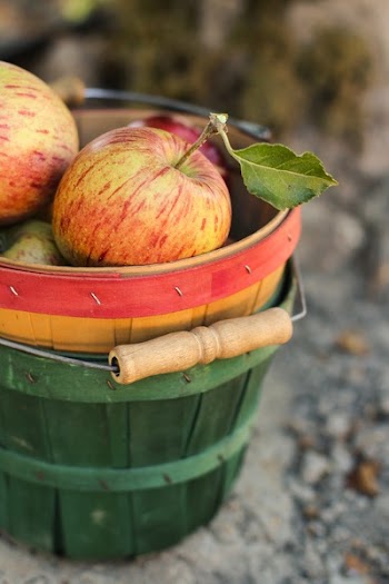 Shallow Focus Photography of Two Ripe Apples on Basket