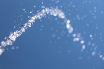 Shallow Focus Photography of Water Drops