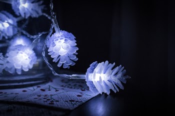Shallow Focus Photography of White String Lights