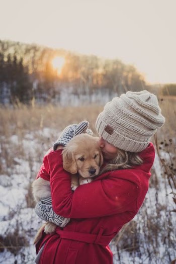shallow focus photography of woman carrying puppy