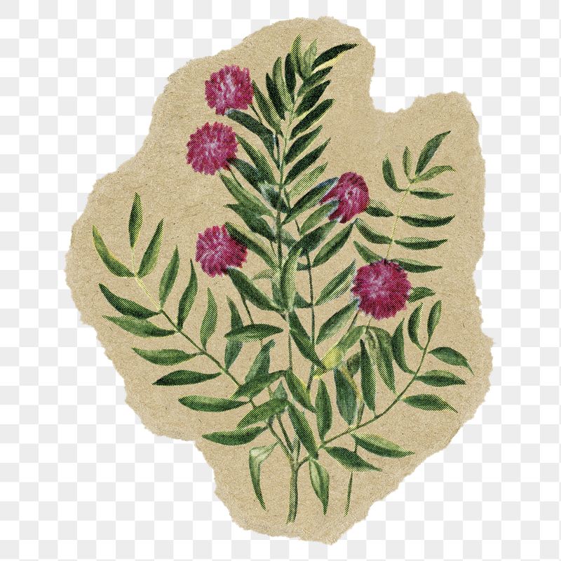 Shameplant png sticker, ripped paper, | Free PNG - rawpixel