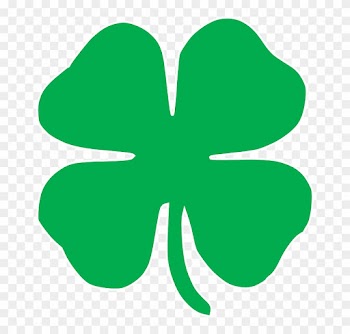 Shamrock - 4 Leaf Clover
