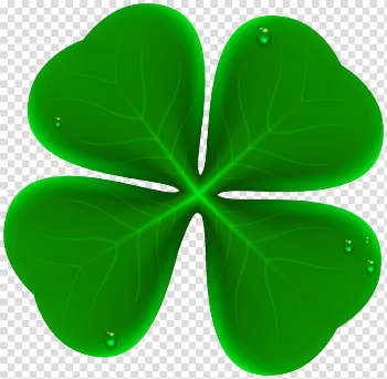 Shamrock Clover Symbol Leaf Fourleaf Free Download Image