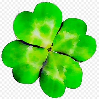 Shamrock Leaf -  