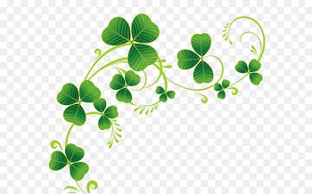 Shamrock Saint Patrick's Day Clip art - Transparent Shamrocks Decor PNG Clipart 