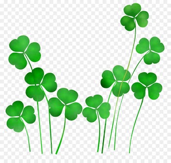 Shamrock Saint Patrick's Day St Patrick's Day Fun St. Patrick's Day Crafts Leprechaun -  