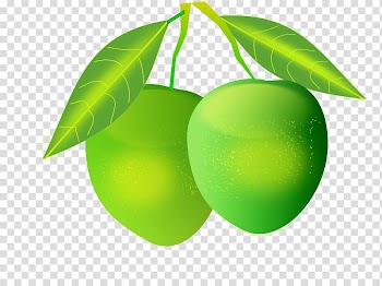 Sharbat Mango Fruit , Pumpkin Leaves transparent background PNG clipart