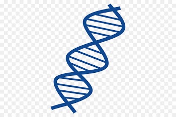 Shareware Treasure Chest: Clip Art Collection DNA Nucleic acid double helix Portable Network Graphics - helix streamer 