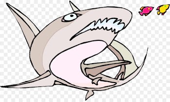 Shark