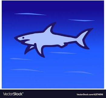 shark