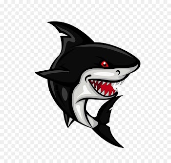 Shark Cartoon Clip art - Cartoon shark 