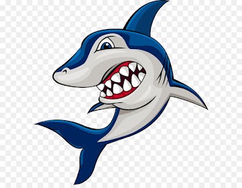 Shark Cartoon Clip art - Cartoon shark 